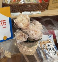 不蒜花